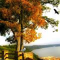OVERLOOK